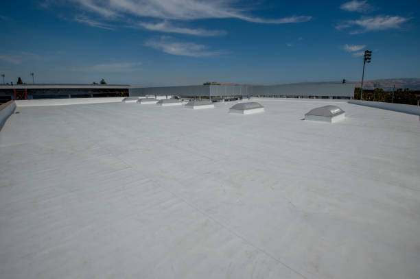 Best Roof Insulation Installation  in Nambe, NM