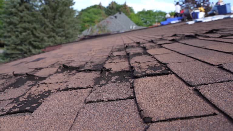 Best Asphalt Shingles Roofing  in Nambe, NM