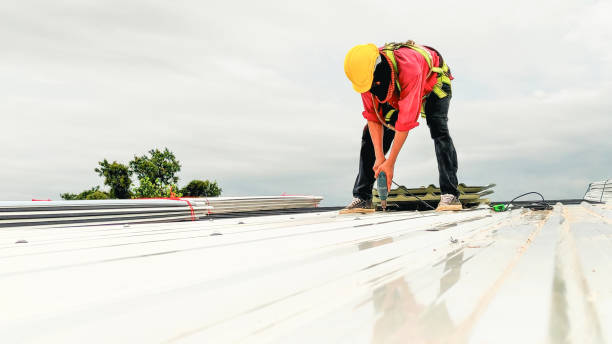 Best Steel Roofing  in Nambe, NM