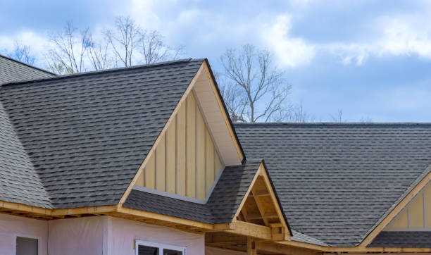 Best Roof Leak Repair  in Nambe, NM